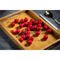 Solid Bamboo Organic Tea Serving Tray with Handle